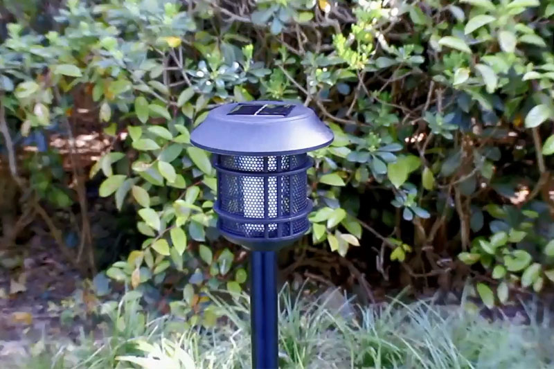 Solar Outdoor Landscape Torch Light